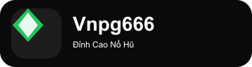 vnpg666.com Logo